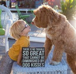 男孩和狗图片,温馨瞬间定格 第2张 男孩和狗图片,温馨瞬间定格 第2张