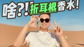 女主播青草 torrent,激情四溢的torrent传奇  第3张