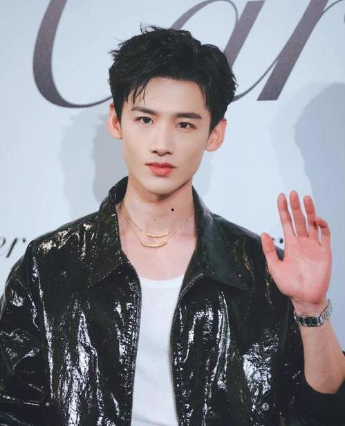 井柏然谈娱乐圈,真实与虚幻的交织  第3张