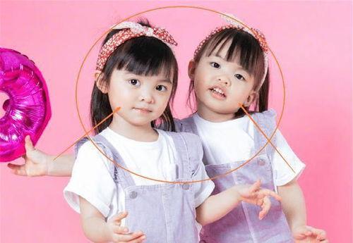 异卵双胞胎明星,揭秘异卵双胞胎明星的璀璨人生 第3张 异卵双胞胎明星,揭秘异卵双胞胎明星的璀璨人生 第3张