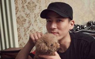 许帆的个人资料,才华横溢的青年才俊,多领域成就斐然 第3张 许帆的个人资料,才华横溢的青年才俊,多领域成就斐然 第3张