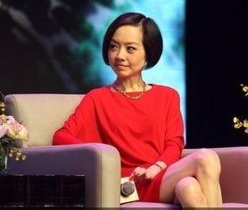 陈鲁豫的美国老公照片,儒雅气质引关注