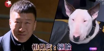 孙红雷的表情包动图,笑点满满，表情丰富  第3张