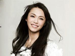 做明星,揭秘明星背后的故事与魅力  第2张