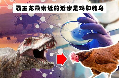 恐龙 搞笑知识,那些让人捧腹大笑的恐龙趣闻 第2张 恐龙 搞笑知识,那些让人捧腹大笑的恐龙趣闻 第2张