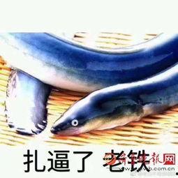 黄鳝钻进女主播视频,惊现诡异一幕！