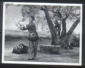 曲原照片  第2张